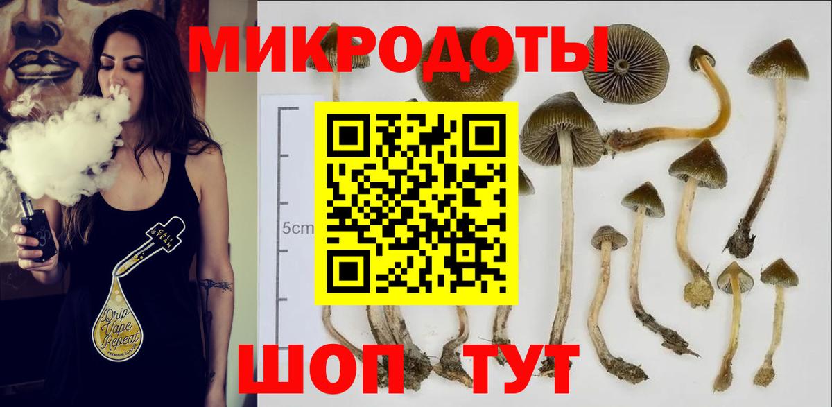 Галлюциногенные грибы прущие грибы  Галлюциногенные грибы Cubensis  Вход с VPN  Новокуйбышевск 